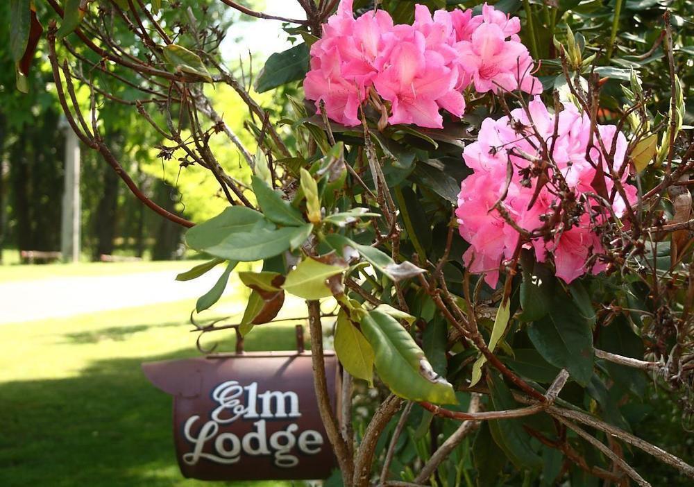 Elm Lodge Bright Exterior foto