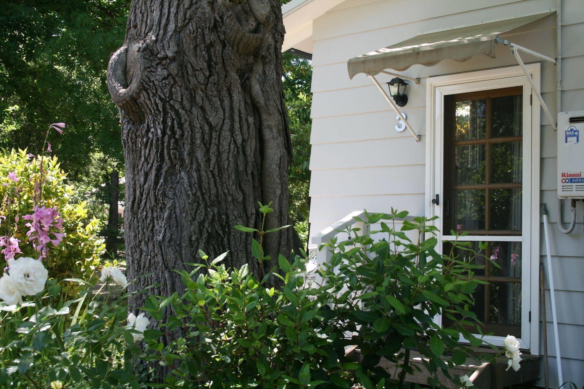 Elm Lodge Bright Exterior foto